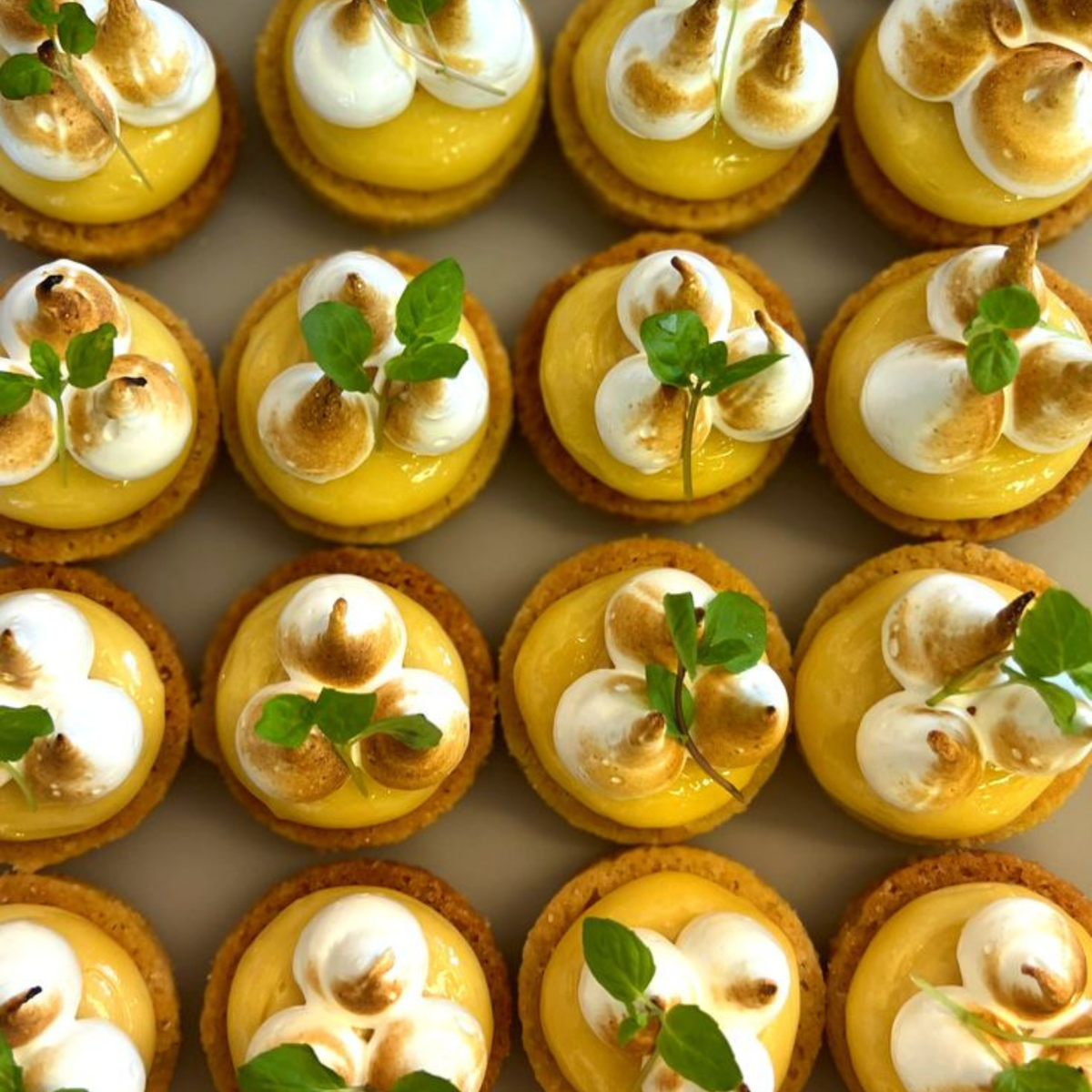 L'Appareil des Chefs