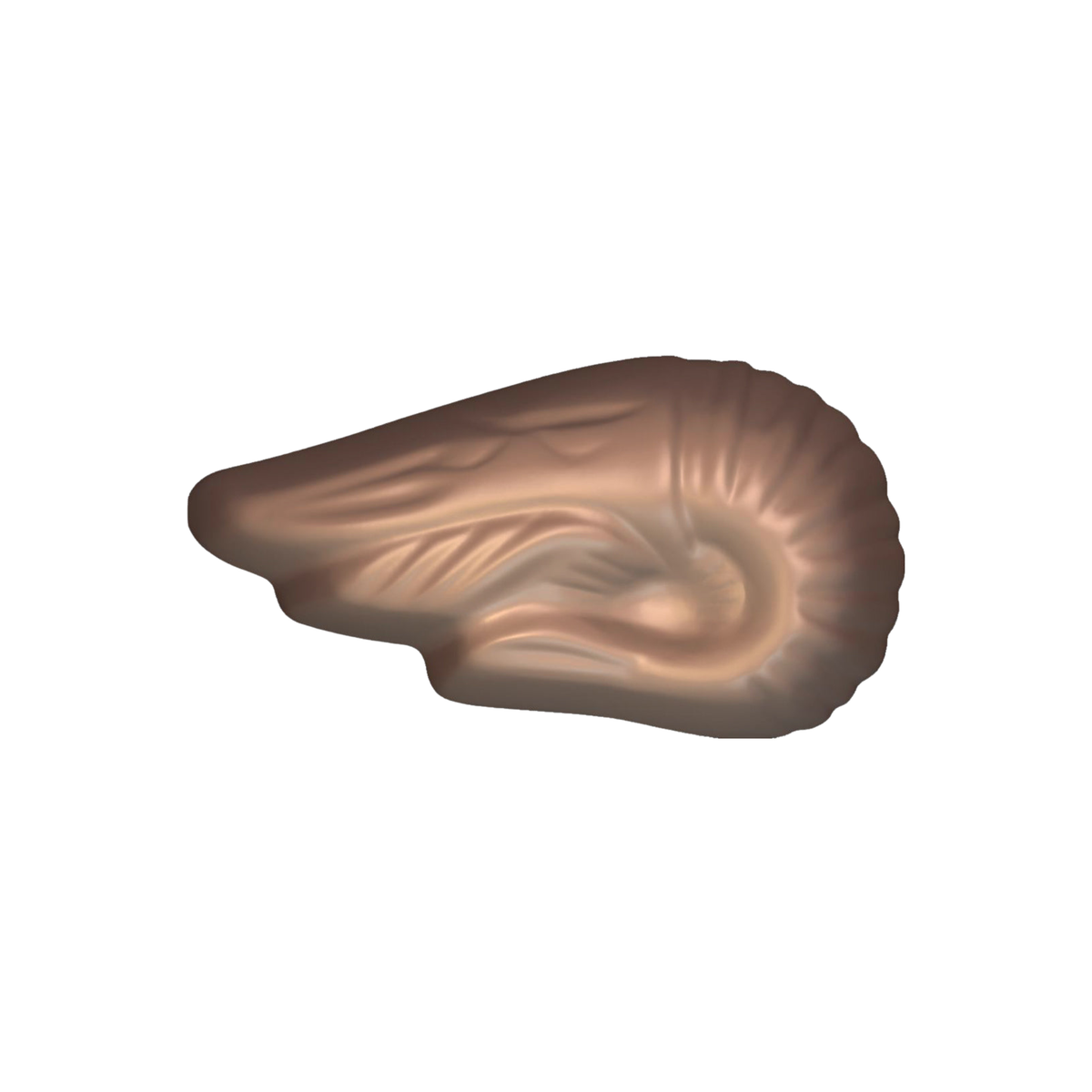 fruit de mer en chocolat