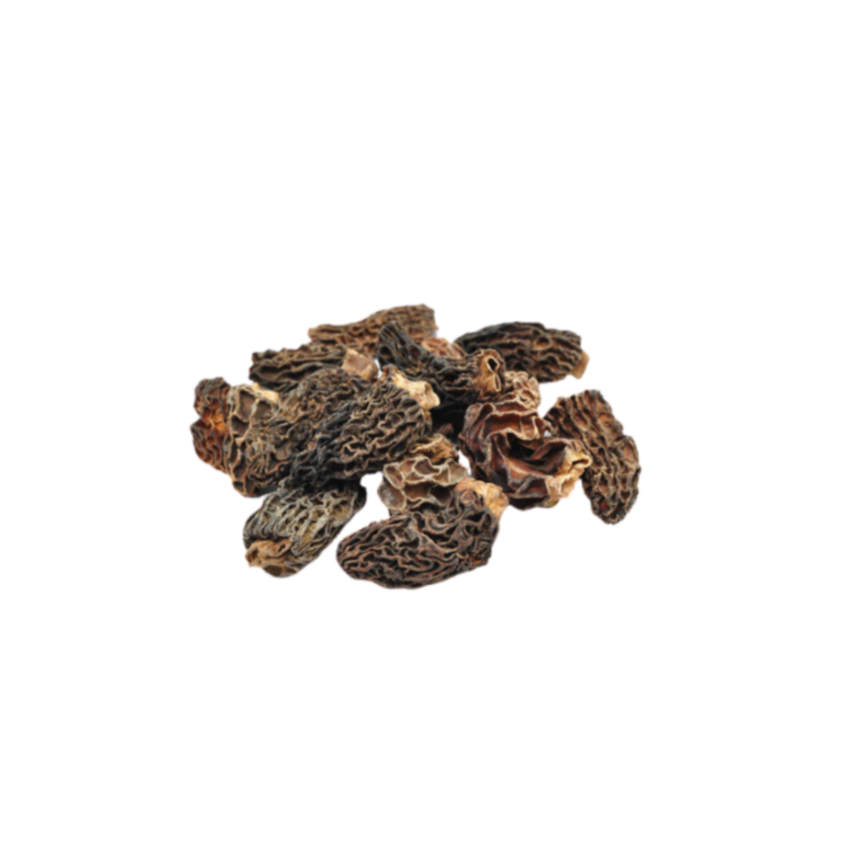 Morilles séchées
