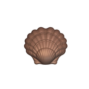 Coquillage en chocolat
