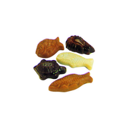 Assortiment de chocolats en forme de poissons et tortue
