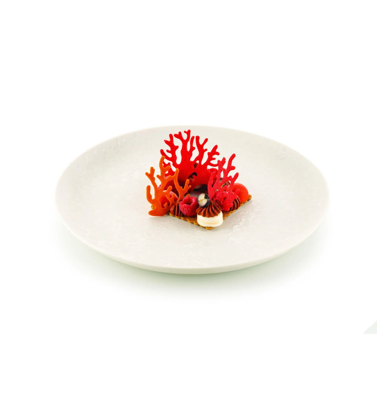 entremet en forme de corail présenté sur une assiette