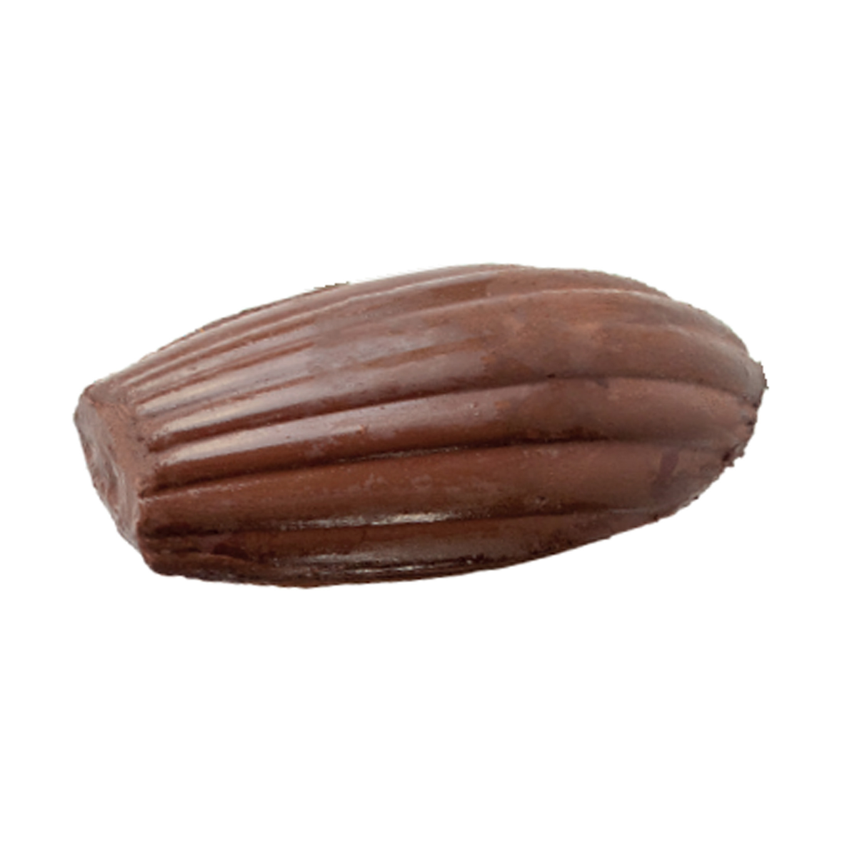 Madeleine au chocolat réalisée avec le moule