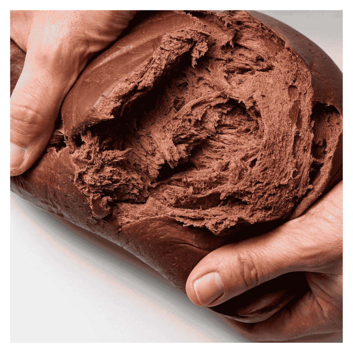 Cacao en Poudre Botanical Extra Brute - 1 kg Callebaut 