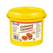 Ancel - Crémeux Caramel au Sel de Guérande 3 kg